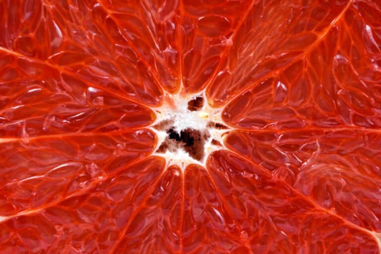 3 Steps To Use Grapefruit Seed Extract Against Mold Farmer Grows