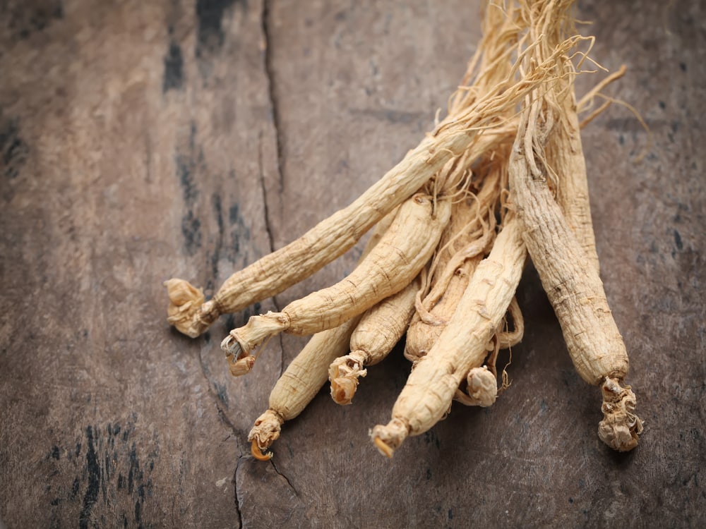 how to store fresh ginseng root