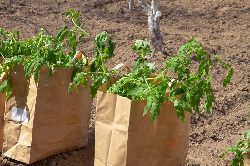 Tips To Use Paper Leaf Bags