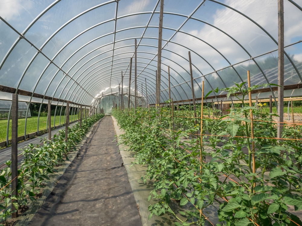how to build a large hoop house