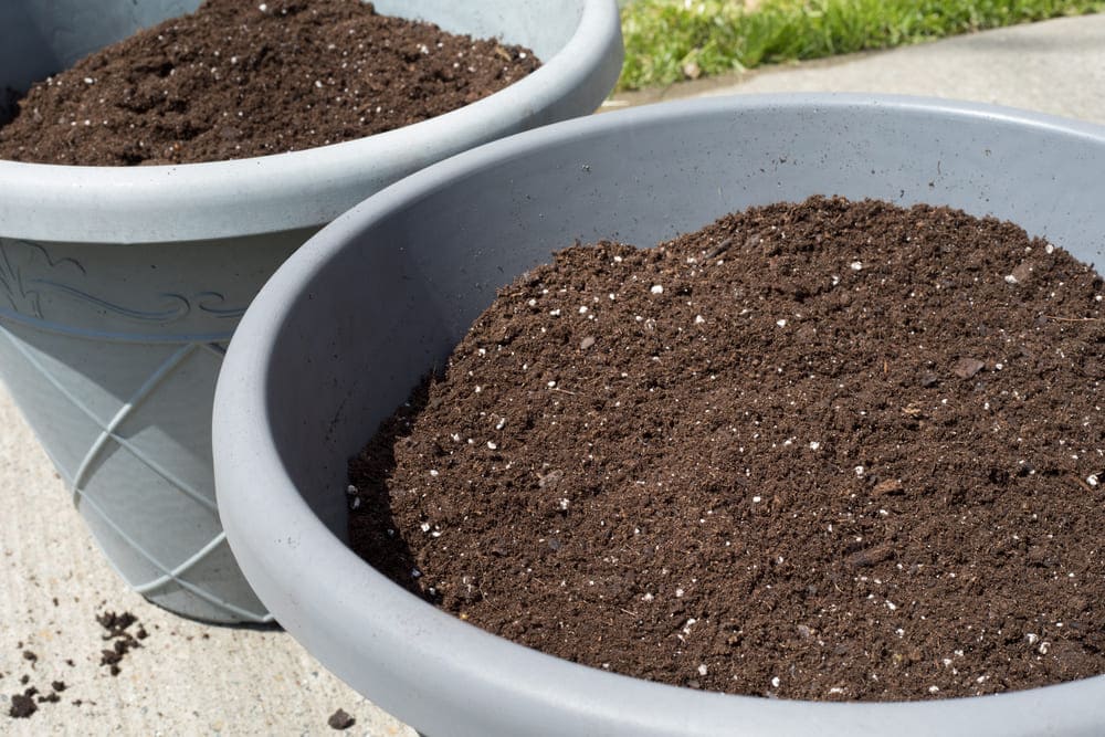 how to dispose of potting soil