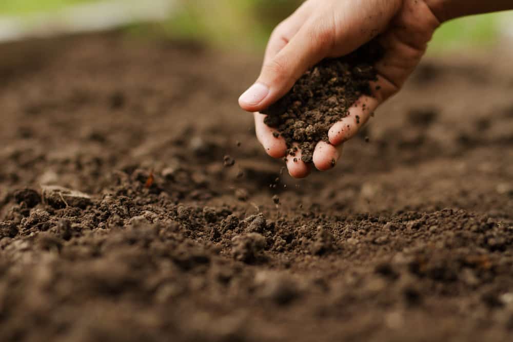how to fix anaerobic soil