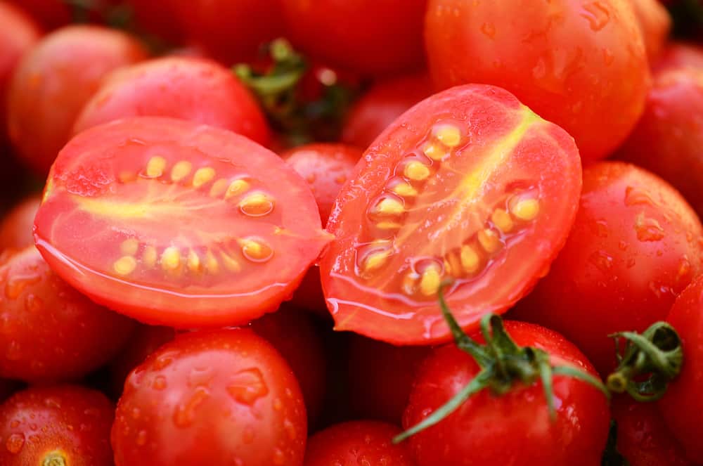 how to save tomato seeds without fermenting