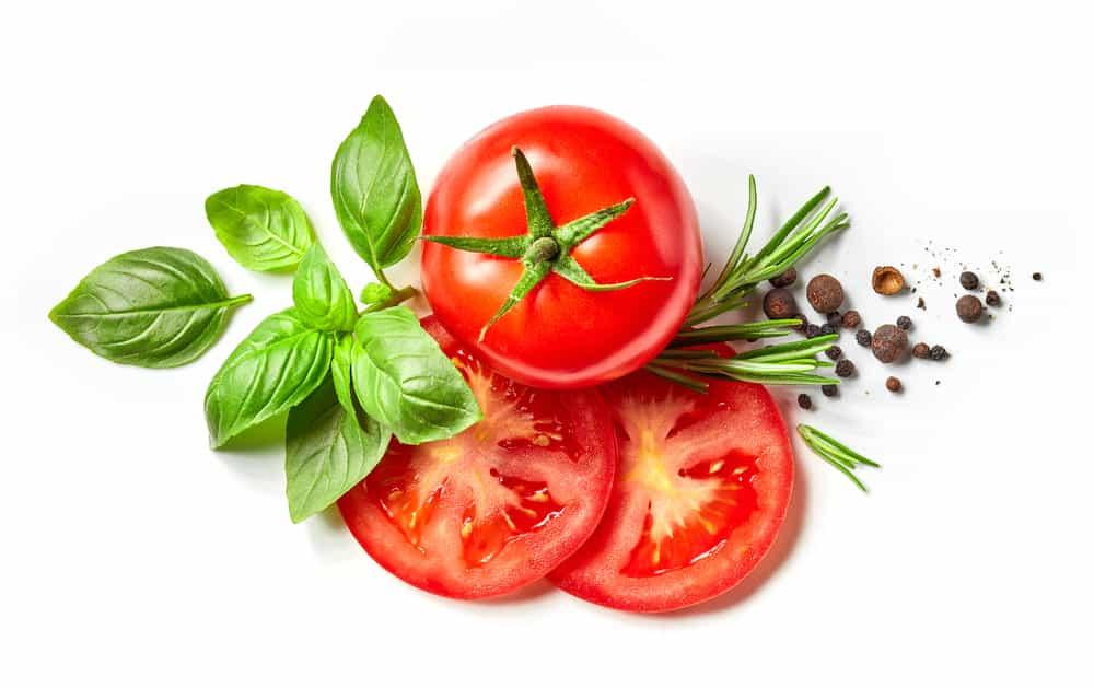 sunscald on tomato leaves