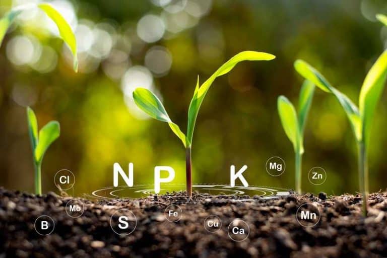 Adding Urine To Compost The Pros And Cons Farmer Grows