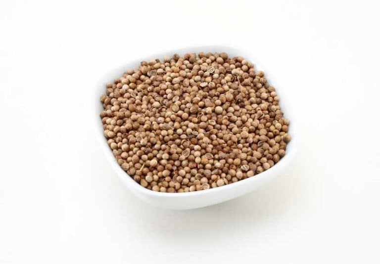 How To Dry Coriander Seeds? Farmer Grows