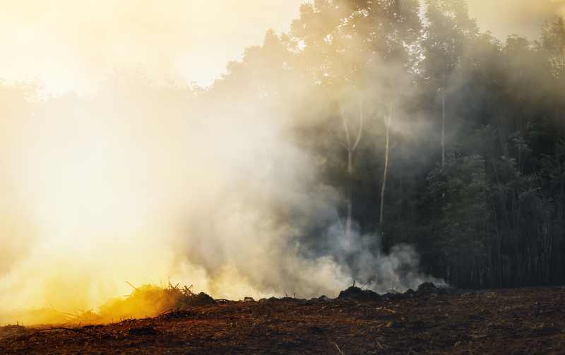 Smoke Can Lead to Air Pollution