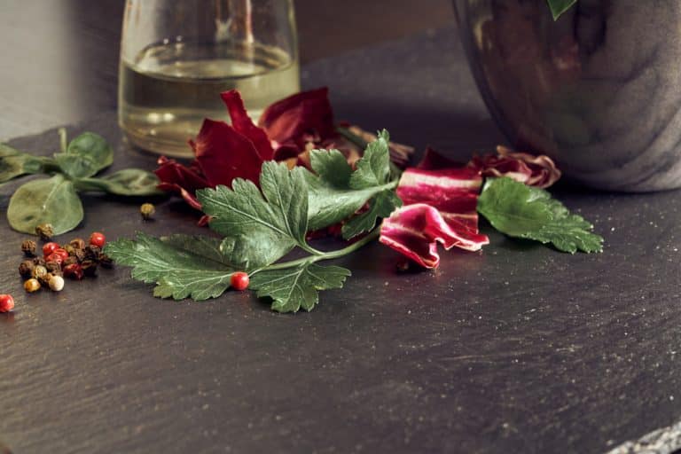 Basil vs Parsley Which One's Better? Farmer Grows