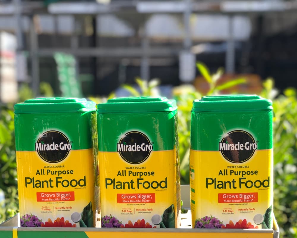 can you use miracle gro on vegetables