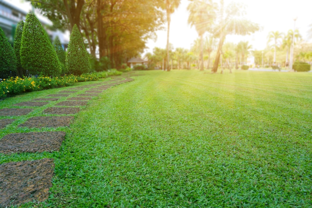 can you use old motor oil to fertilize your lawn