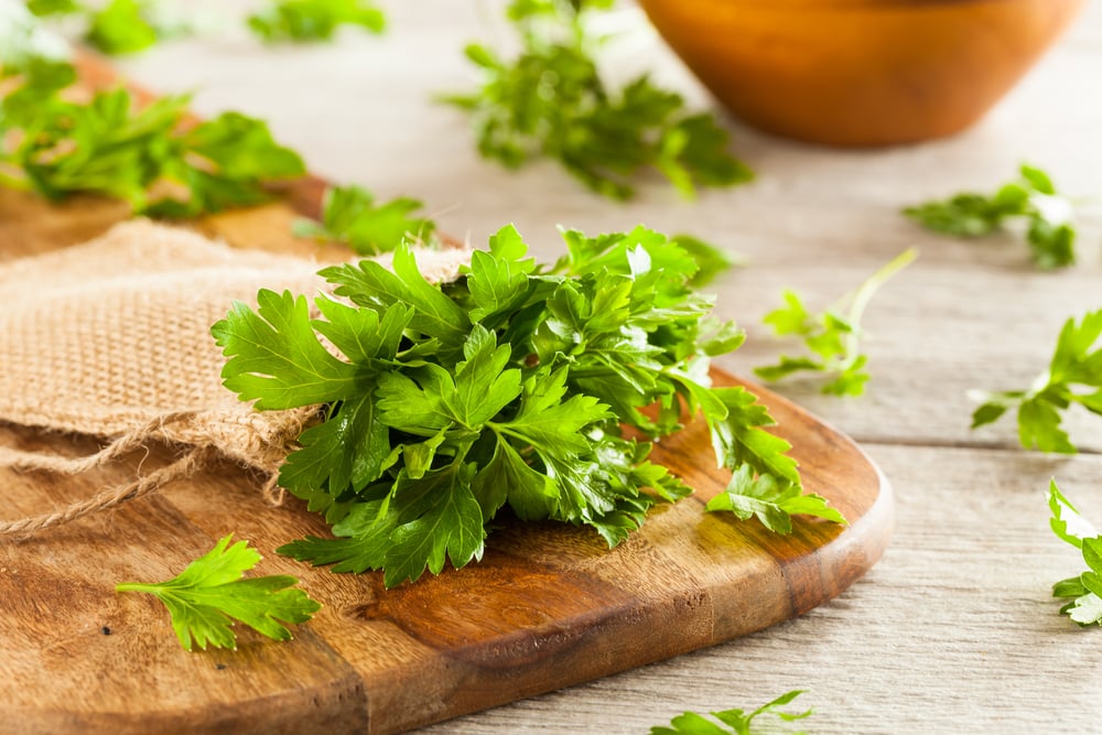 how to grow parsley from supermarket