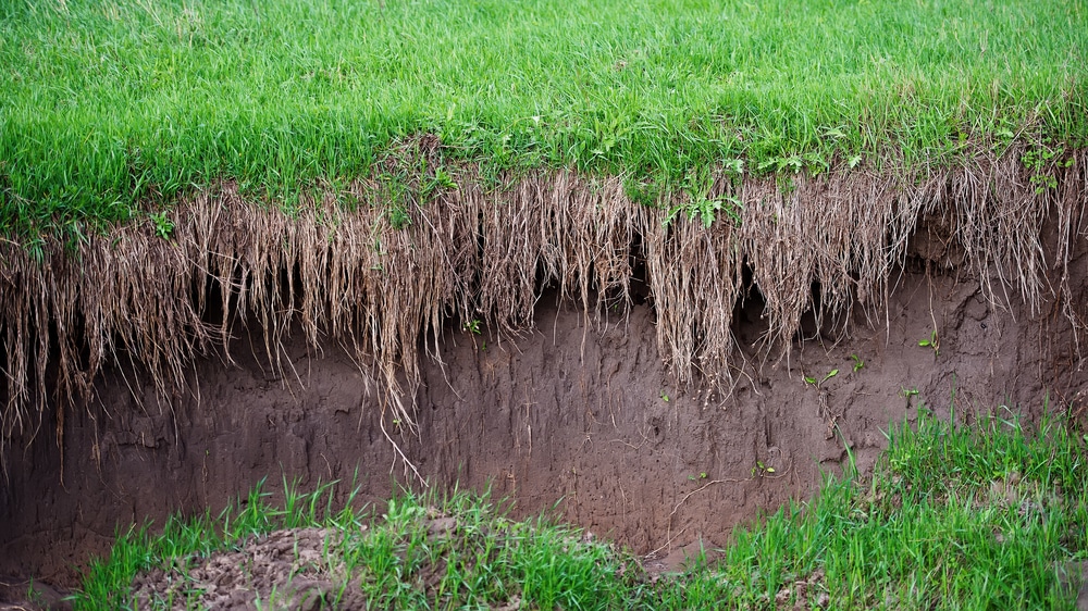 how to prevent soil erosion on slopes