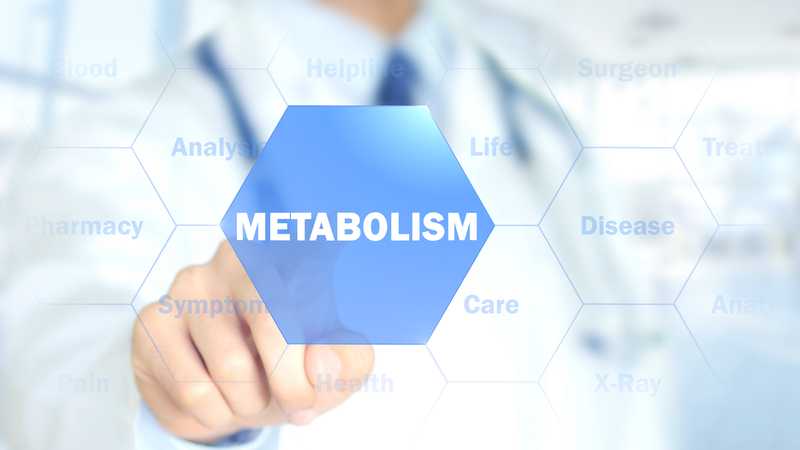 improving metabolism and soothing inflammation