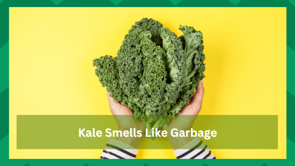 kale smells like garbage