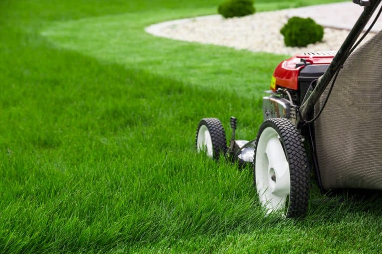 Lawn Mower Won t Start After Winter Storage 3 Solutions Farmer Grows