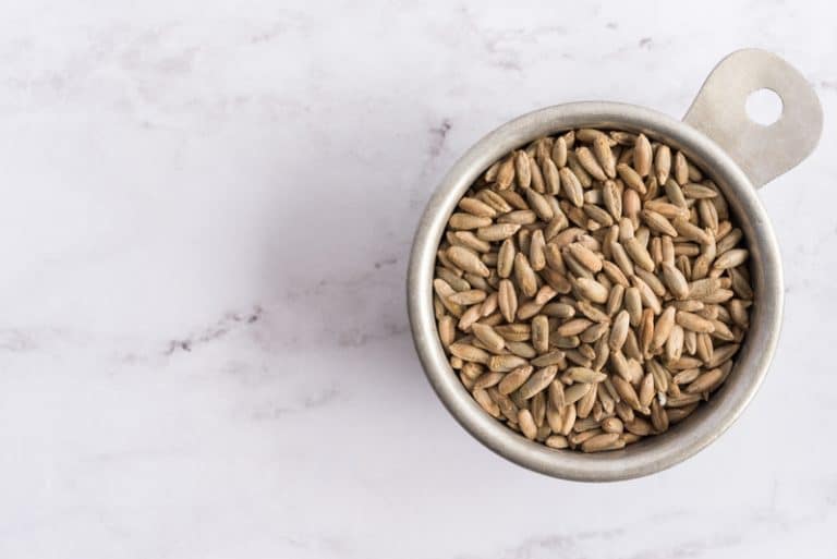 Rye Berries vs Rye Grain What's The Difference Farmer Grows