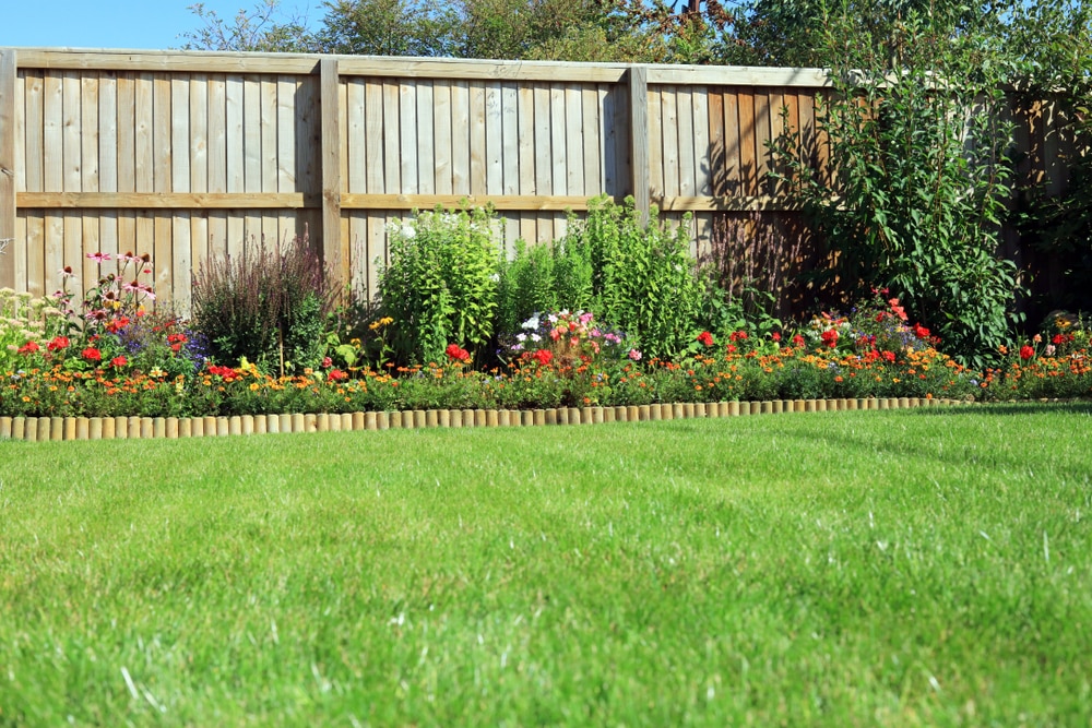 shrubs-to-grow-against-a-fence-what-you-should-know-farmer-grows