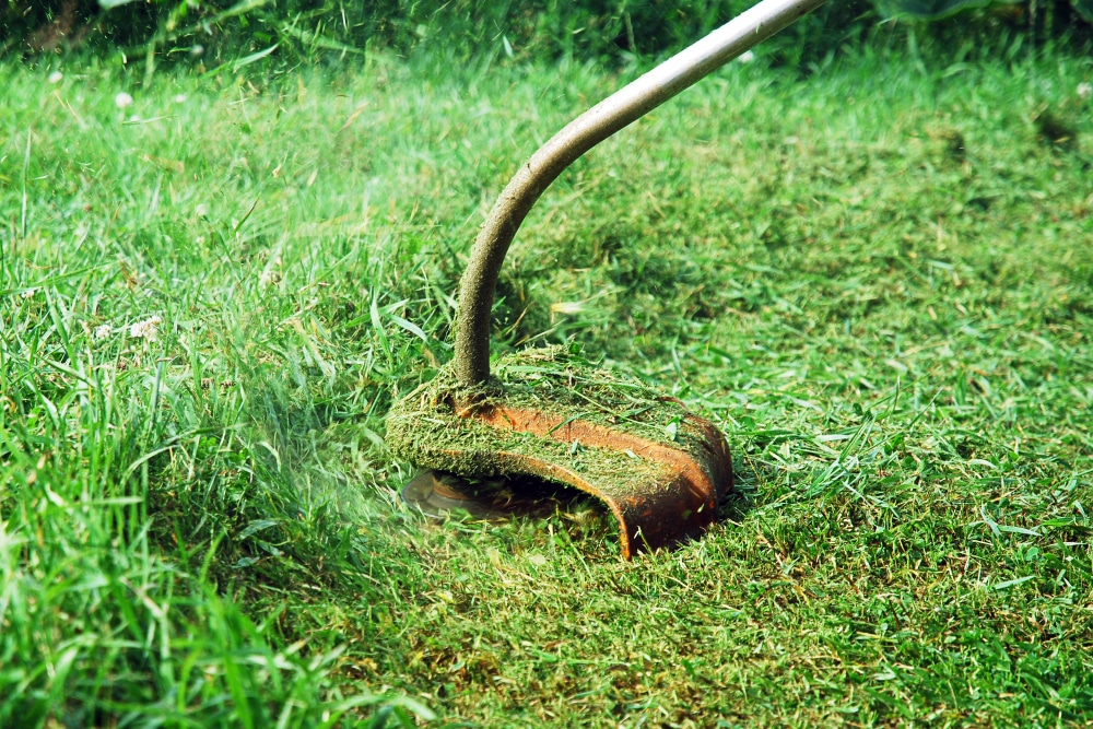 weed whip vs weed wacker