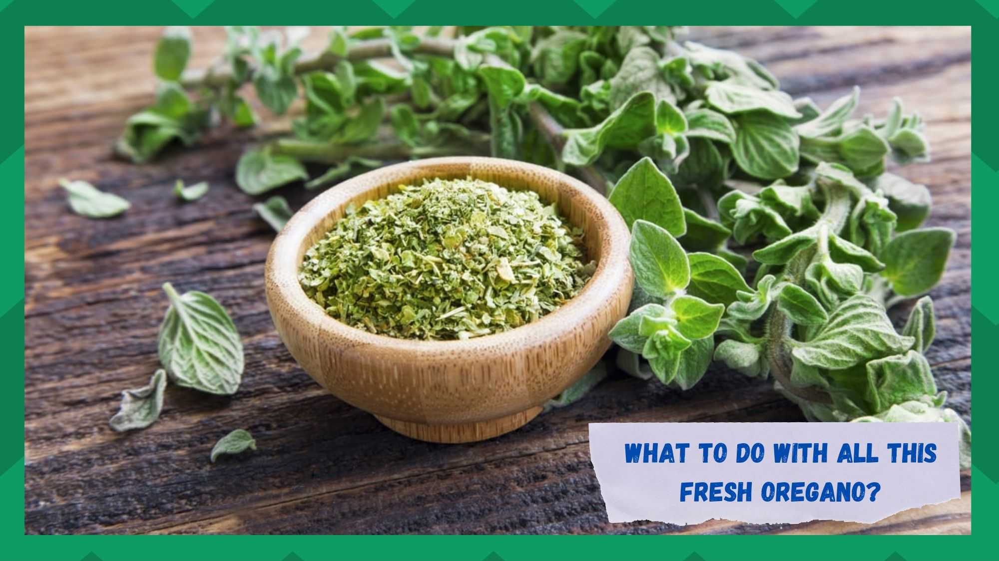 what to do with all this fresh oregano