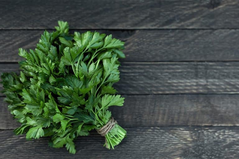 3 Tips To Do With Extra Parsley Farmer Grows