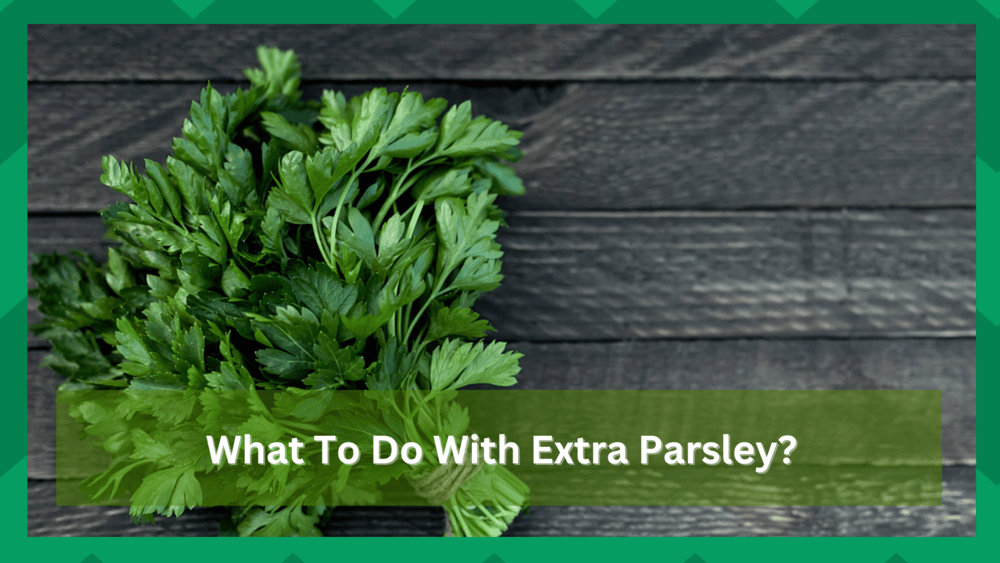 what to do with extra parsley