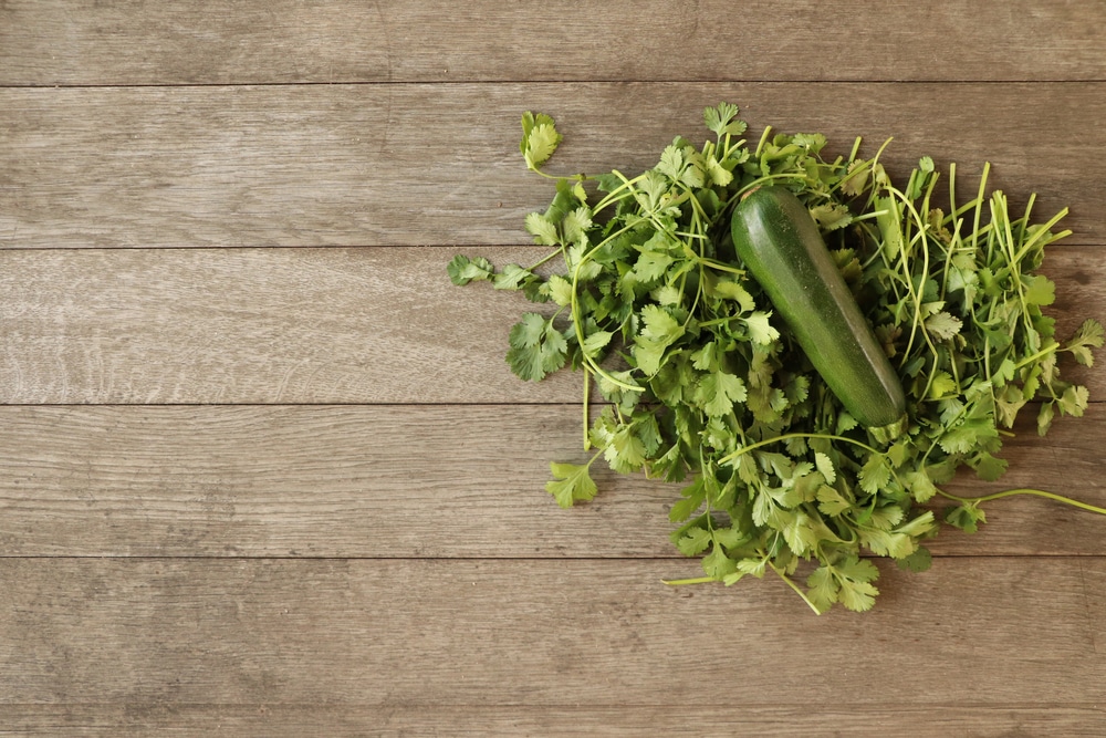 when to trim parsley