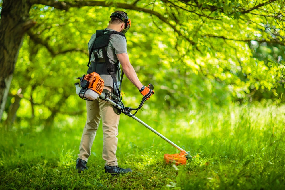 Brush Cutter vs String Trimmer - Which One? - Farmer Grows