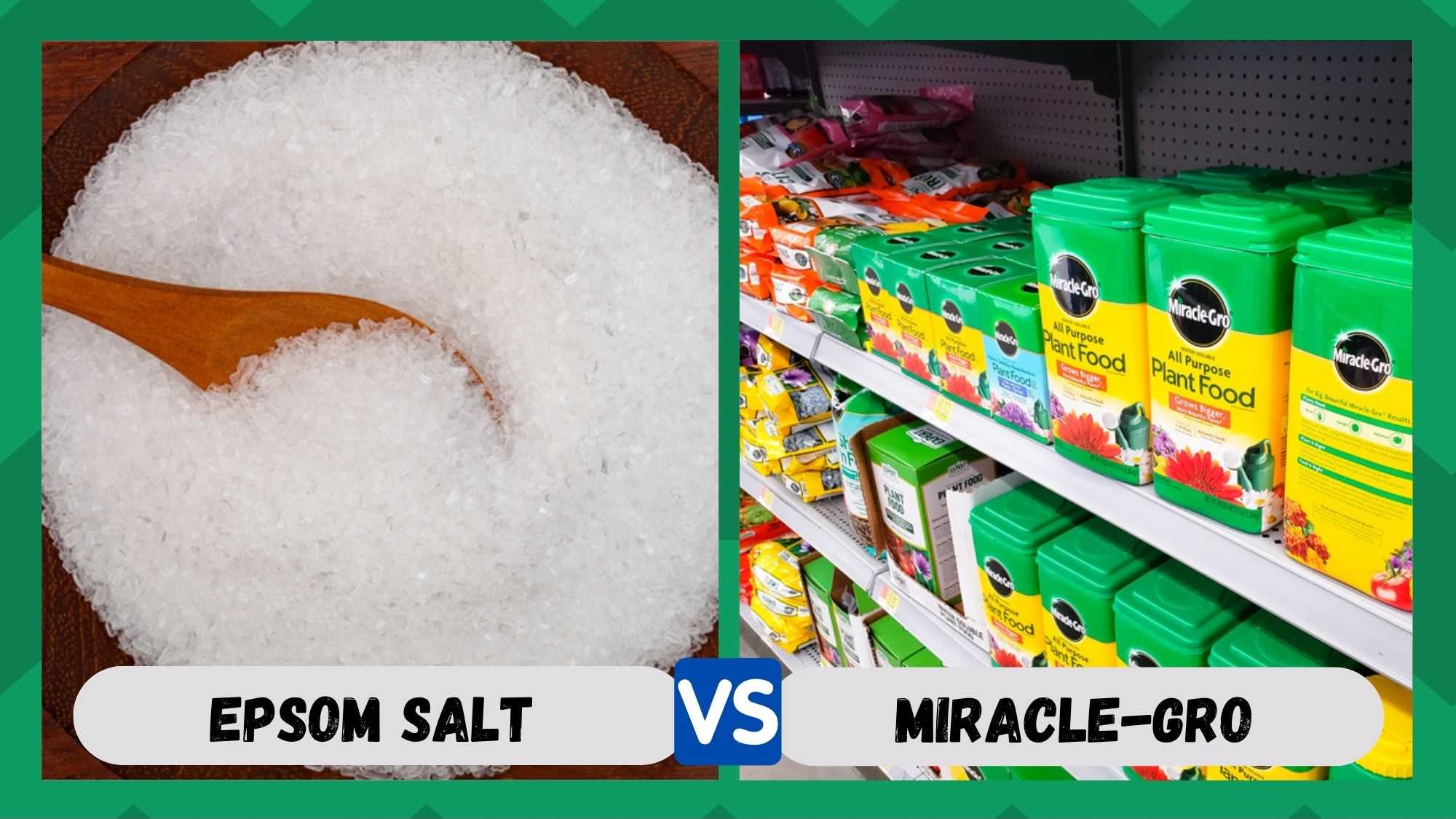 epsom salt vs miracle gro