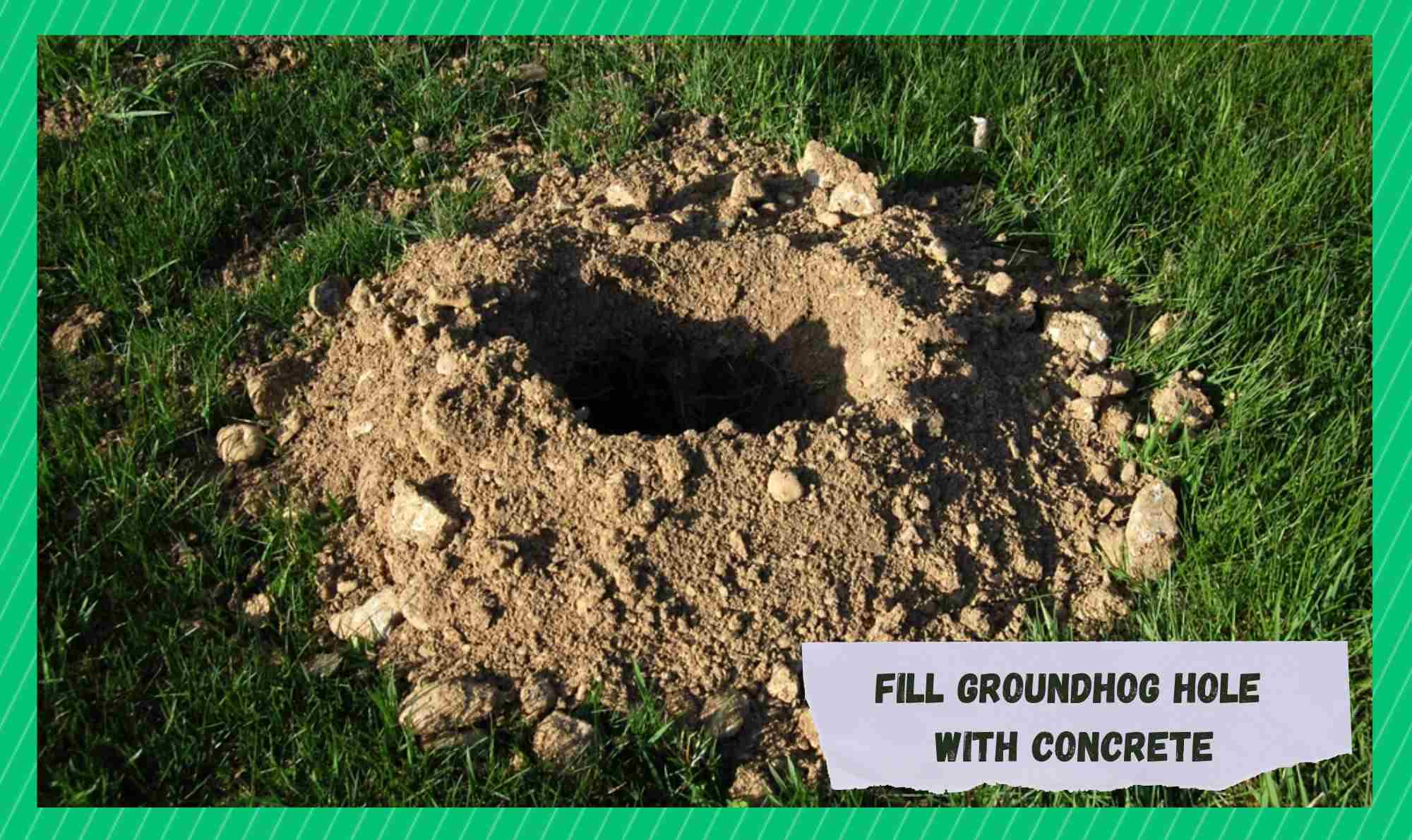 fill groundhog hole with concrete