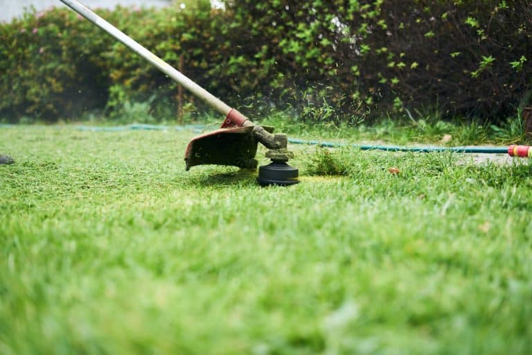 How to Use A Manual Weed Cutter? Farmer Grows