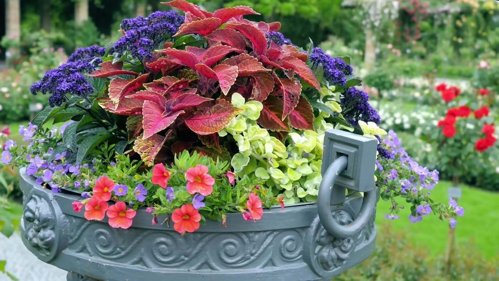 large outdoor planters fill bottom