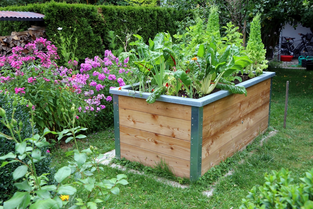 raised garden bed with compost bin