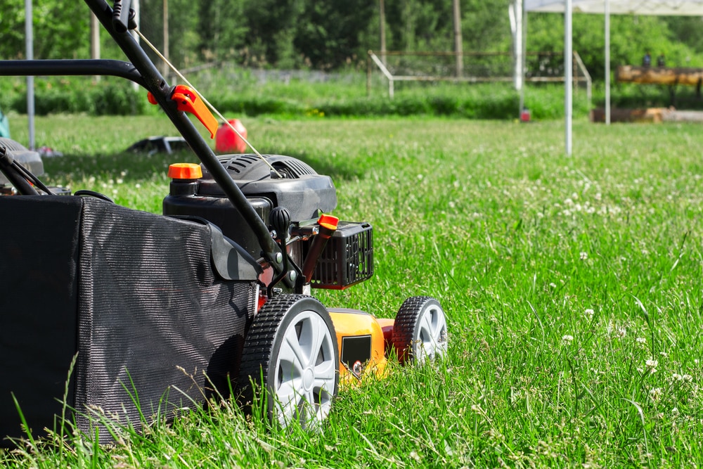 toro vs craftsman lawn mower