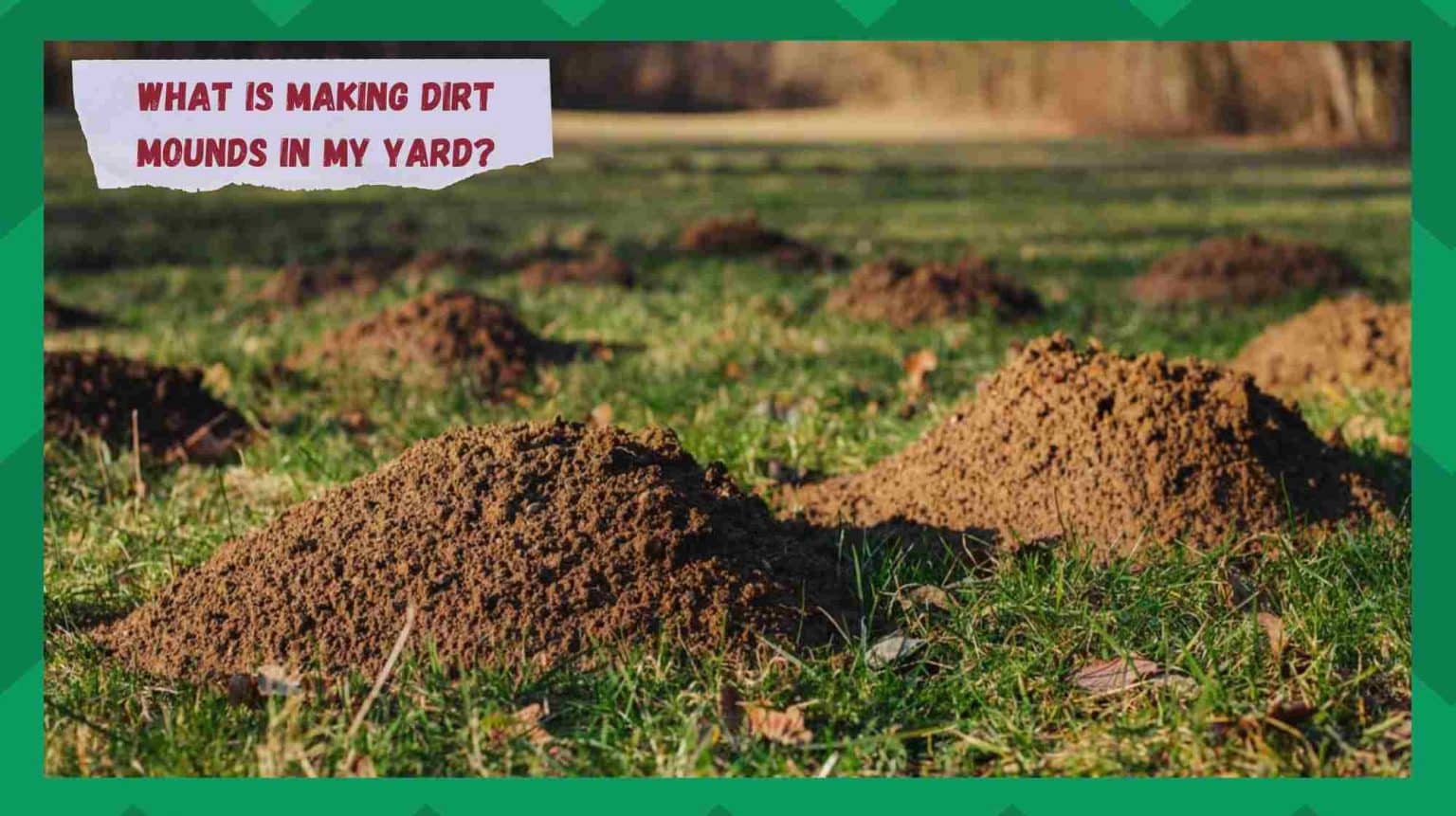 What Is Making Dirt Mounds in My Yard? (Answered) Farmer Grows