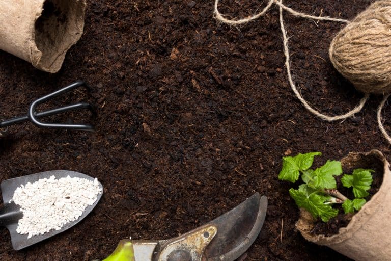 Adding Sand to Potting Soil Is It Useful? Farmer Grows