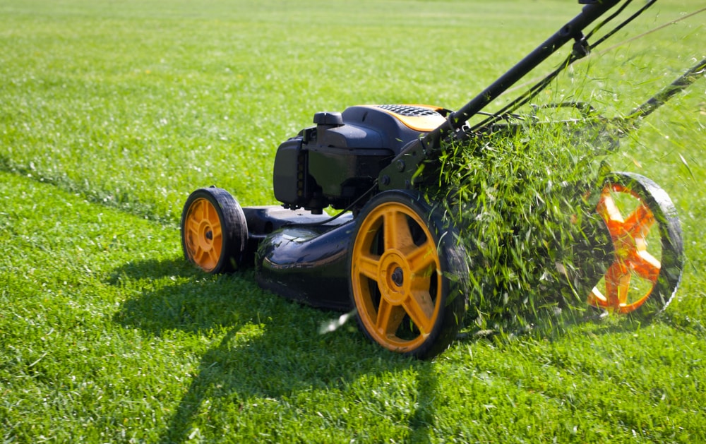 how to drain oil out of a lawn mower