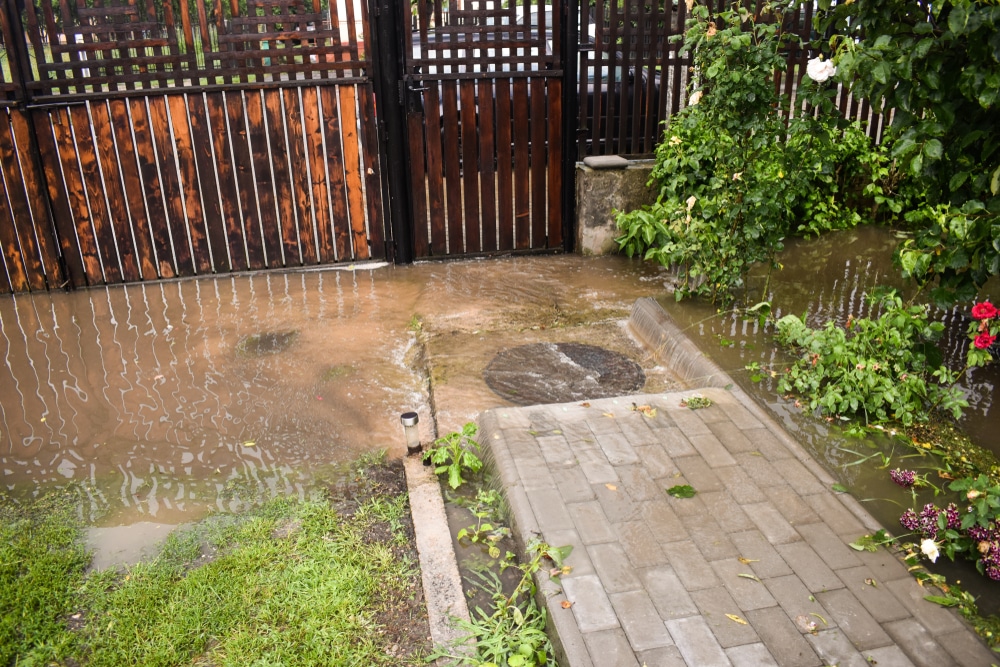 how to get rid of flooding in backyard