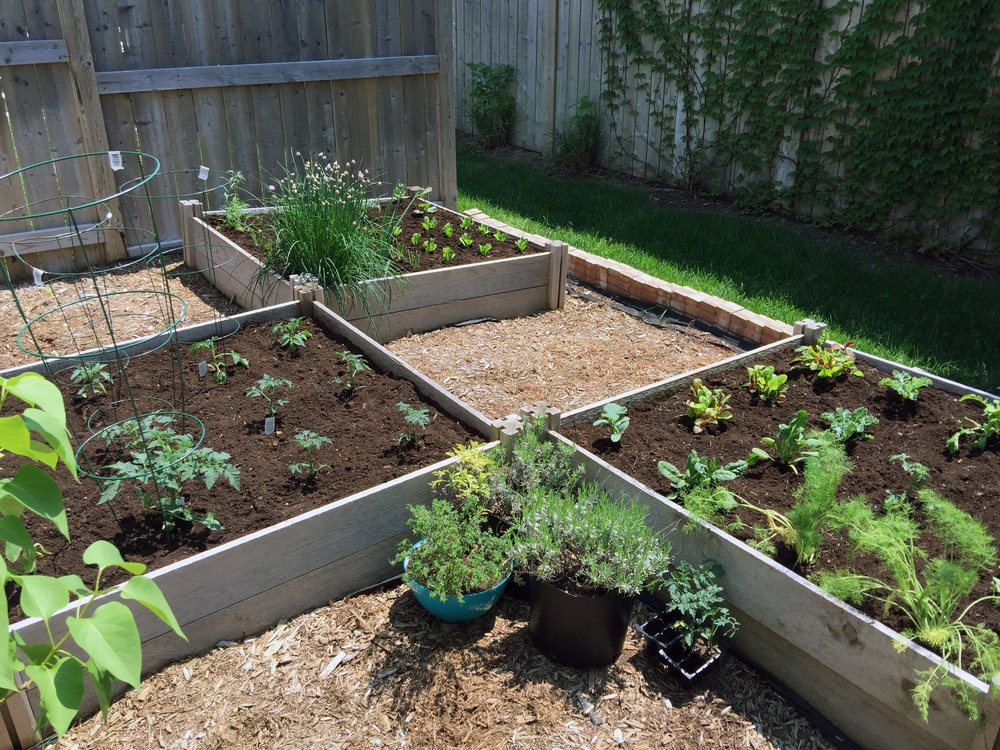 do you have to change soil in raised beds