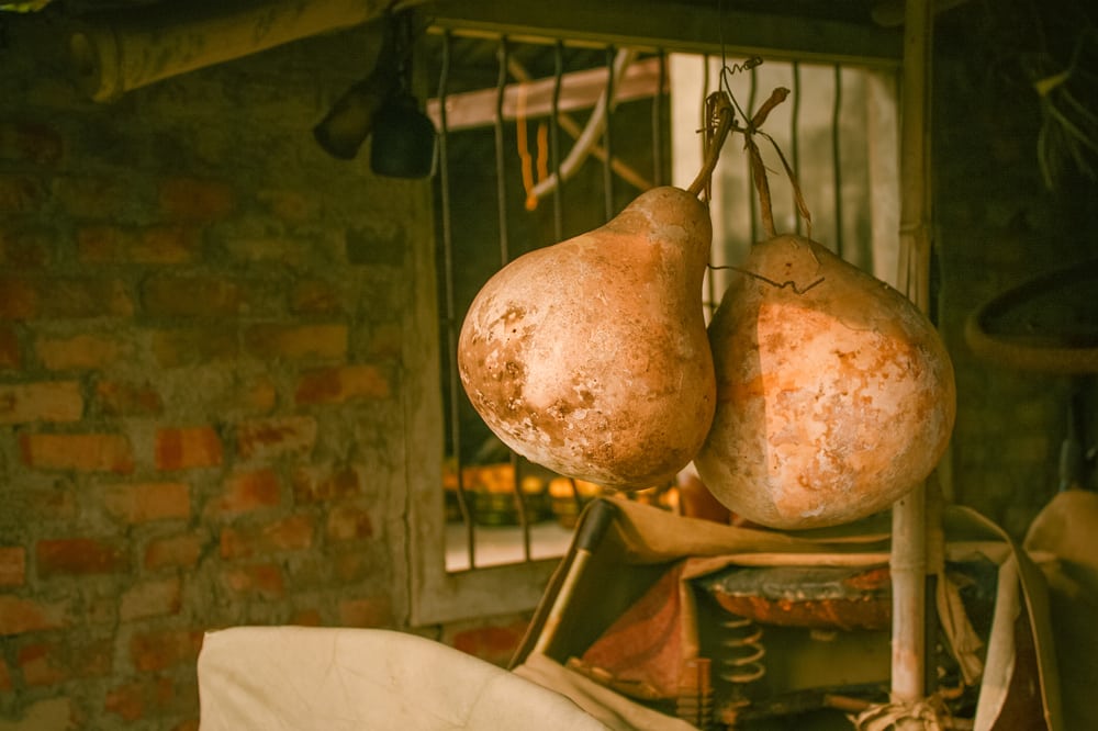 How To Clean Dried Gourds? (Step by Step Guide) Farmer Grows