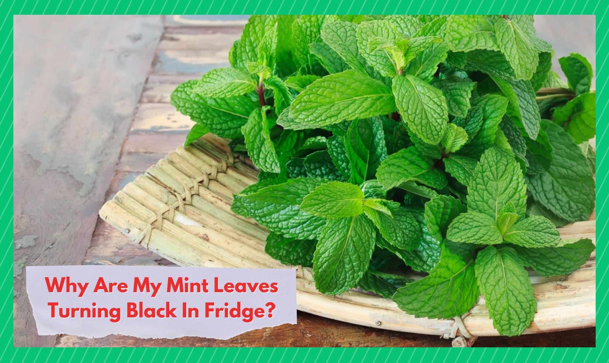 mint leaves turning black in fridge