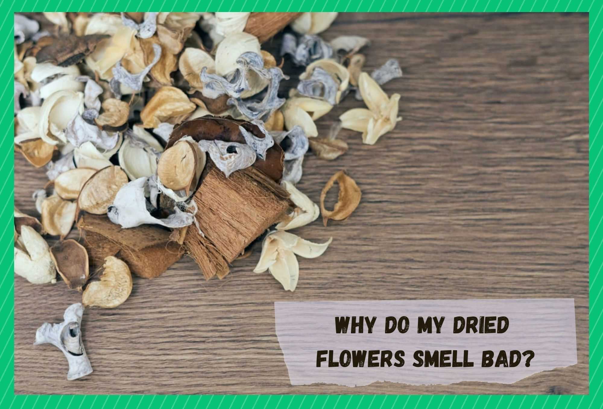 why do my dried flowers smell bad