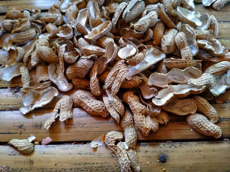 How to Use Peanut Shells As Fertilizers