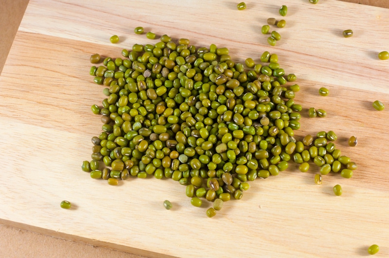 green bean seed