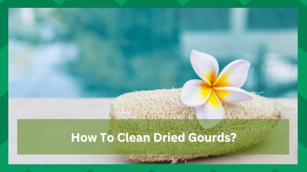 how to clean dried gourds