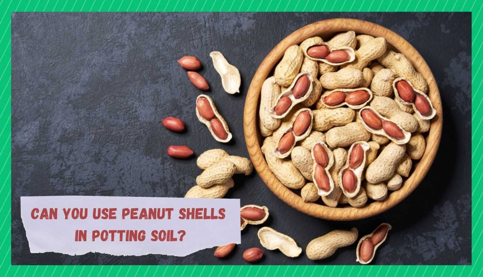 Can You Use Peanut Shells In Potting Soil? Farmer Grows