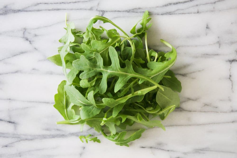 wild arugula vs baby arugula