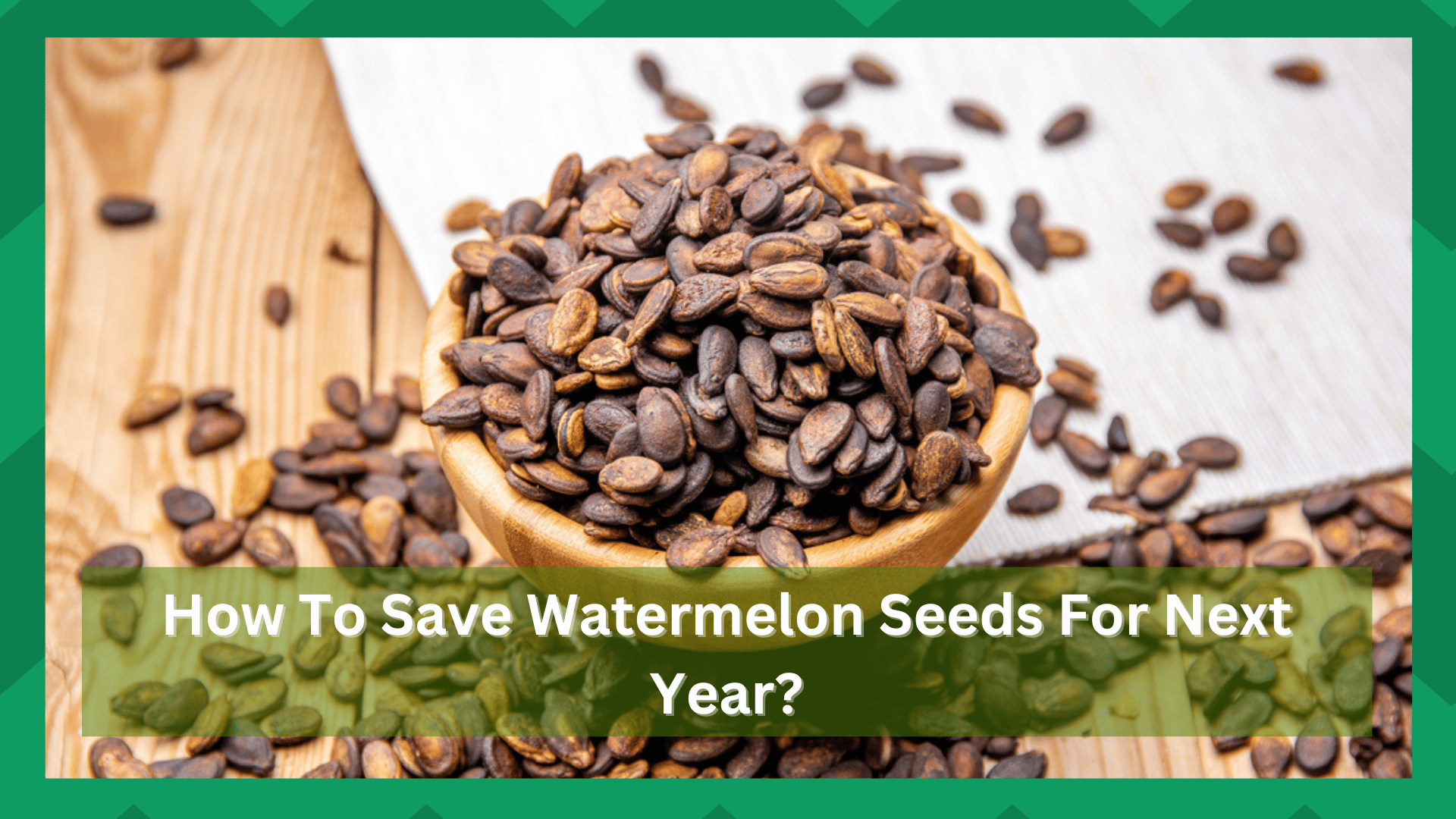 how to save watermelon seeds for next year