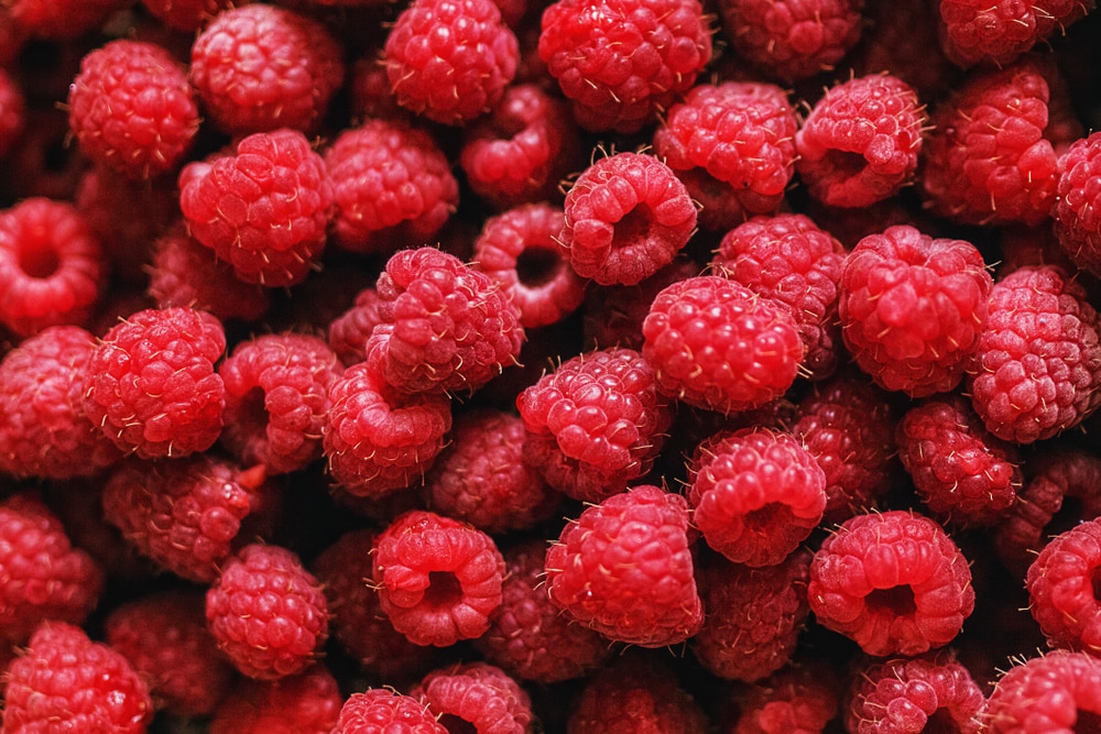 tiny bugs in raspberries