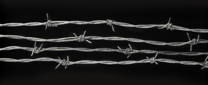 barbed wire