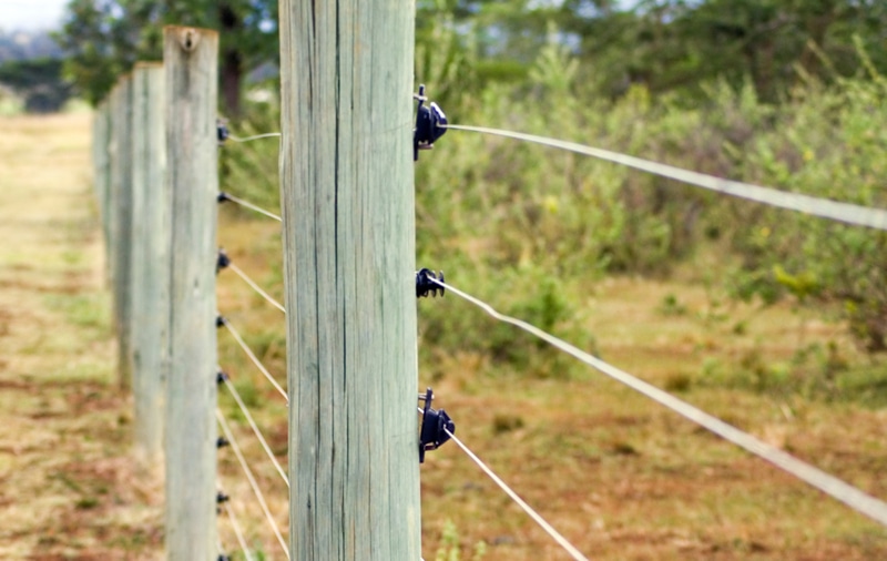 electric fence